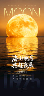 海上生明月唯美夜景图