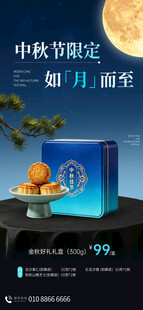 中秋限定月饼礼盒展示