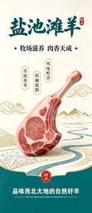 盐池滩羊宣传展架