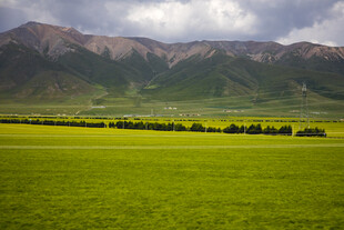草原绿野与远山美景