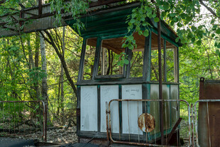 废弃林间小屋