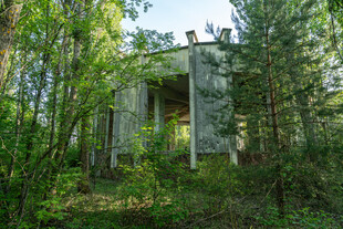 森林中的废弃小屋