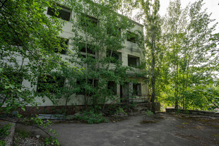 废弃建筑被绿植覆盖景象