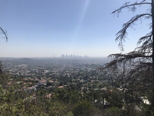 俯瞰城市景观
