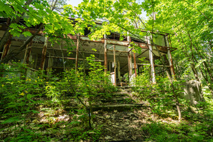林间废弃建筑绿植环绕