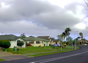 宁静街道旁的温馨住宅区