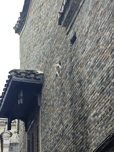 古老砖墙建筑一角
