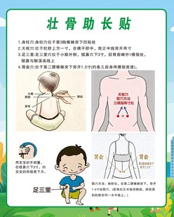 壮骨助长贴