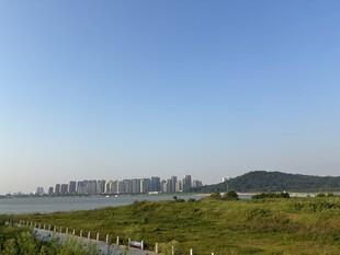 湖畔草地与远处城市风光
