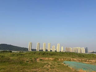 城郊风光