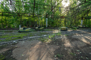 林间光影斑驳的静谧之地