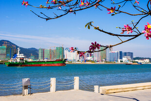 海滨城市春日美景