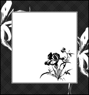 黑白花卉边框装饰图案
