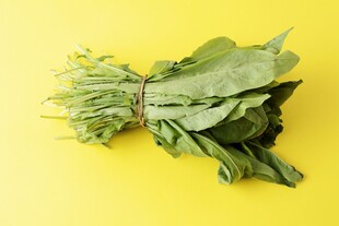 新鲜菠菜一束