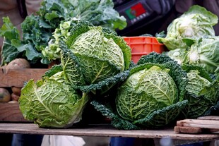 新鲜卷心菜摆放在摊位上