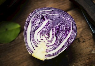 紫甘蓝切面特写