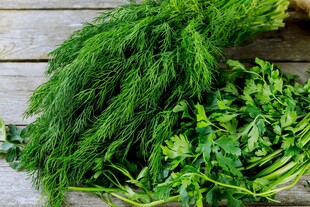 新鲜翠绿的多种香草蔬菜