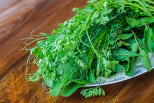 新鲜翠绿香菜摆于盘中
