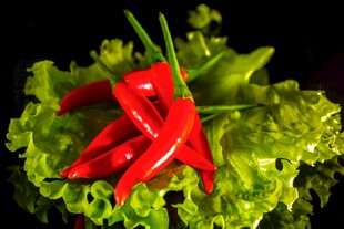 红辣椒配生菜新鲜蔬菜