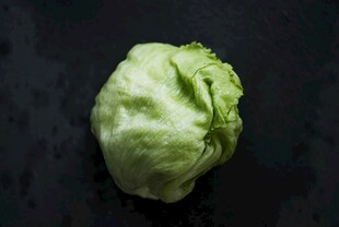 一颗新鲜的圆白菜