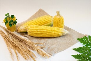 新鲜玉米与麦穗等农产品