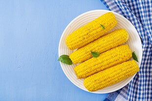 蓝底盘中的鲜嫩甜玉米
