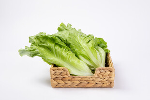 篮子里的新鲜生菜