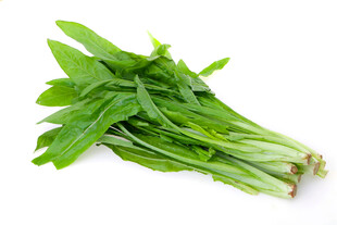 新鲜嫩绿菠菜一束