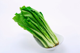 新鲜油麦菜翠绿欲滴