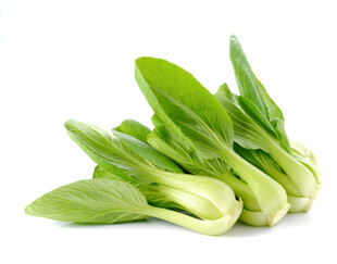 新鲜小白菜