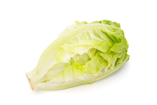 新鲜生菜