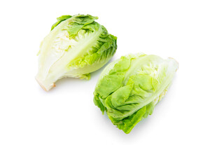 新鲜生菜翠绿欲滴