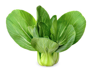 新鲜小白菜