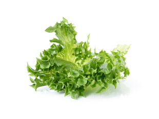 新鲜生菜叶