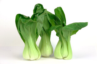 新鲜翠绿的三颗青菜