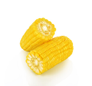 两根新鲜黄色玉米棒