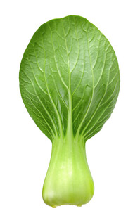 新鲜小白菜