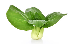 翠绿玉簪叶植物特写