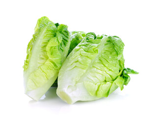 新鲜生菜两颗