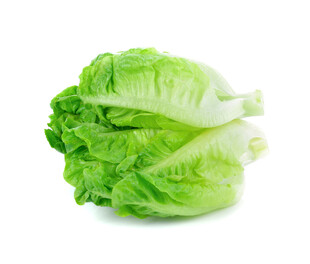 新鲜生菜
