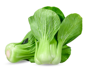 新鲜小白菜