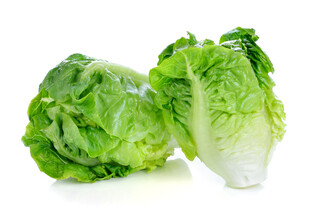 新鲜生菜翠绿欲滴