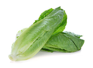 新鲜生菜