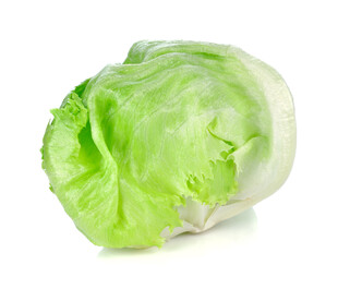 新鲜生菜