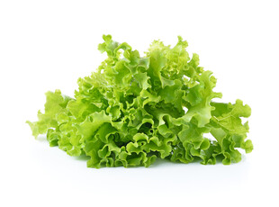 新鲜生菜