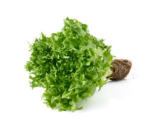 新鲜生菜翠绿欲滴