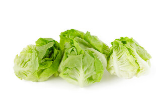 新鲜生菜翠绿欲滴