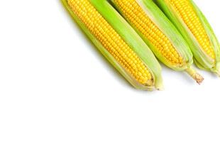新鲜玉米棒