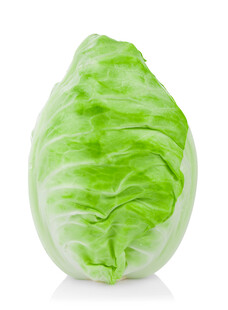 新鲜圆白菜