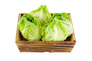 木盒中的新鲜圆生菜